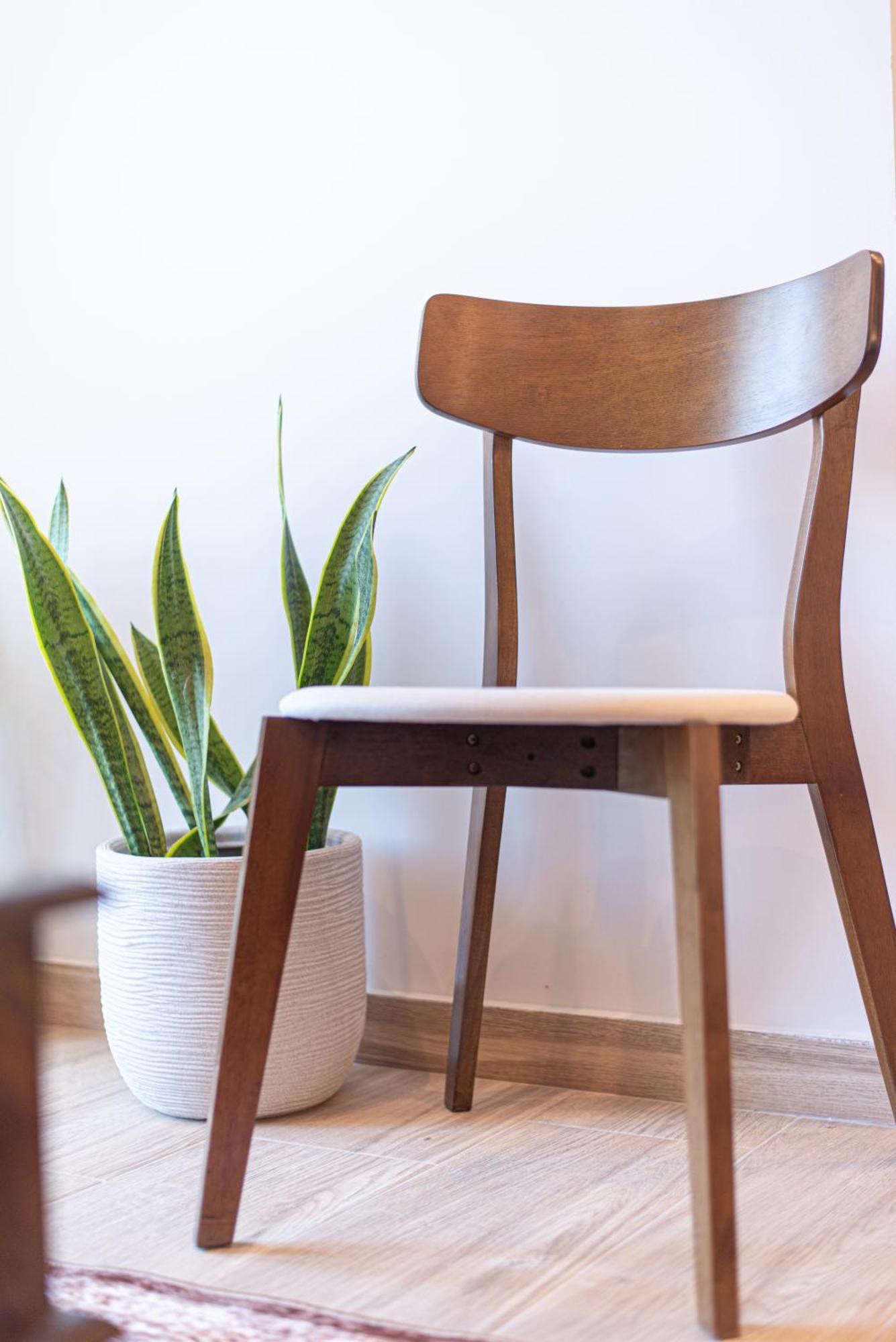 Kanela Apartment Oinofyta Εξωτερικό φωτογραφία